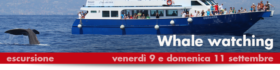940x215_BANNER_2016_WHALEwatching